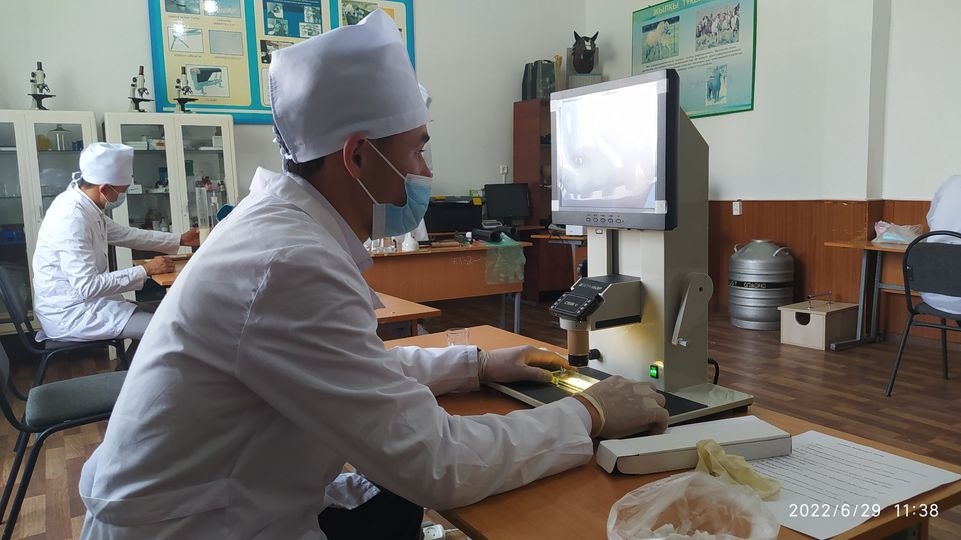 Теориялық білімін тәжірибемен ұштастырып біліктілік дағдыларын көрсете білді 